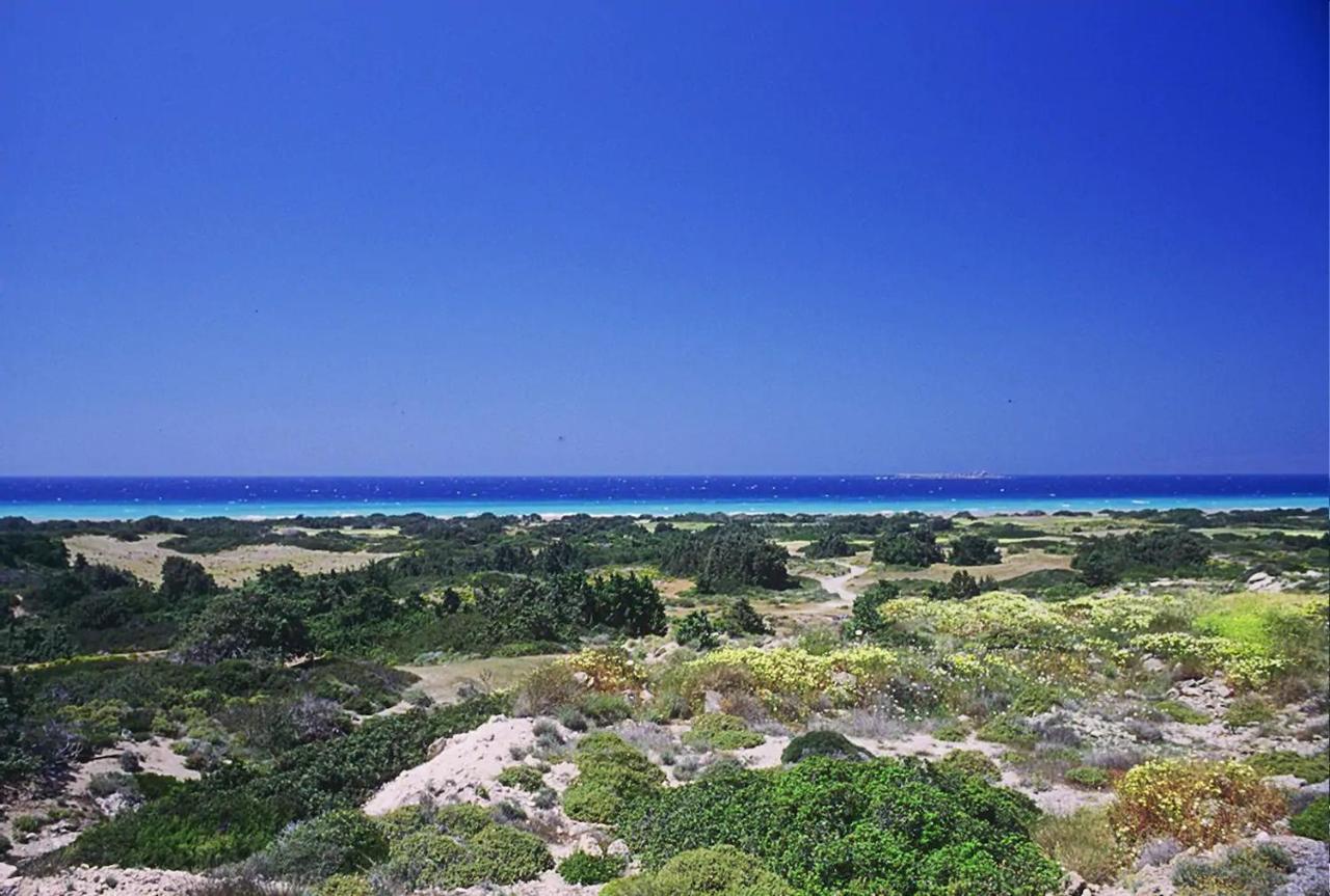 Lovely Independent In Ecovilla On The Apolakkia